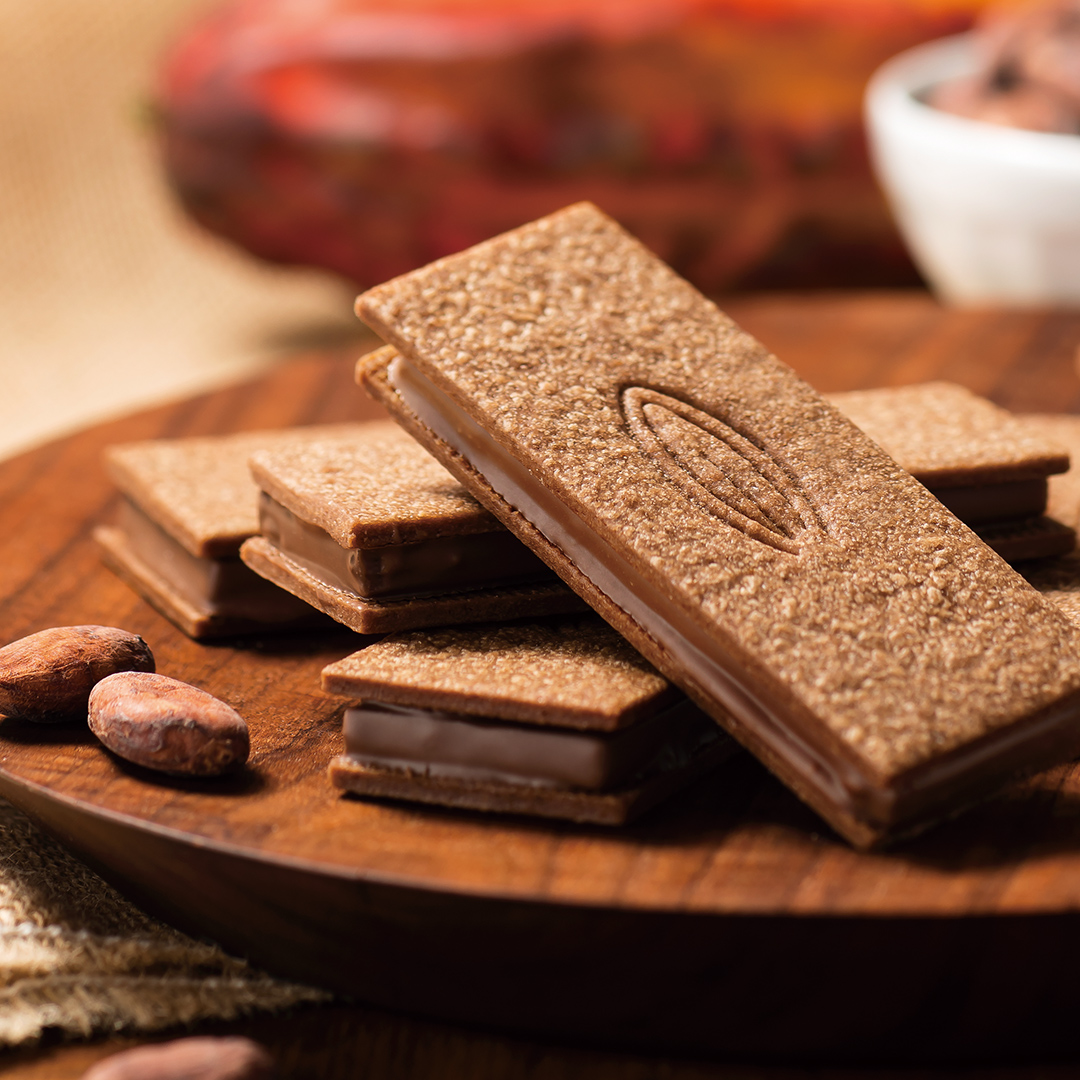 参加者特典画像